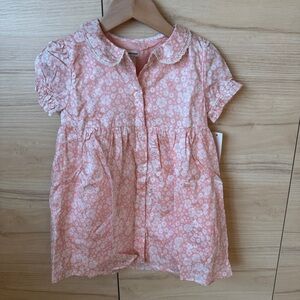 Amazon Essentials Pink Floral Button-Up Dress Top with Lace Collar